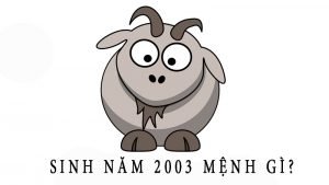 sinh-nam-2003-la-menh-gi-2