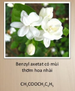 Benzyl-axetat 1