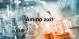 Amino axit là gì? Tính chất hóa học, Cách điều chế, Cấu trúc phân tử