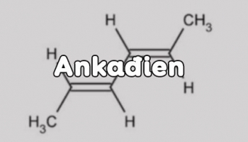 Ankadien là gì? Công thức hóa học của Ankadien? Phân loại