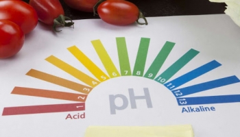 pH là gì? Công thức tính pH là gì? Những kiến thức cần ghi nhớ