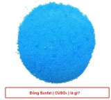Đồng (II) sunfat (CuSO4) là gì? Tính chất vật lí, tính chất hóa học